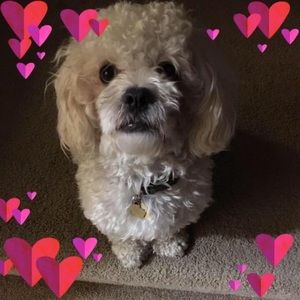 Meet your Posher, Araceli